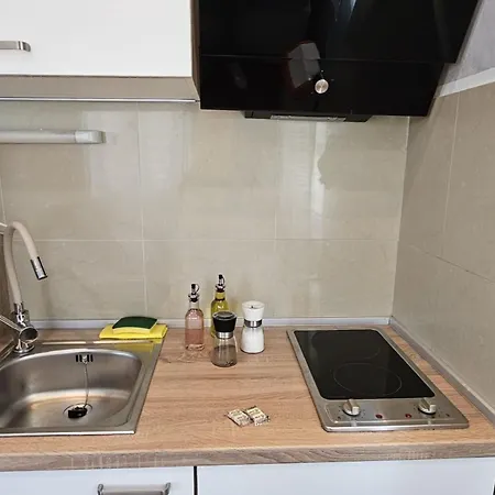 Tena Istria Apartment